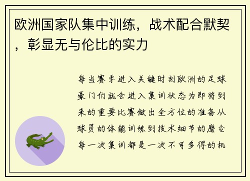 欧洲国家队集中训练，战术配合默契，彰显无与伦比的实力