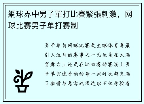 網球界中男子單打比賽緊張刺激，网球比赛男子单打赛制