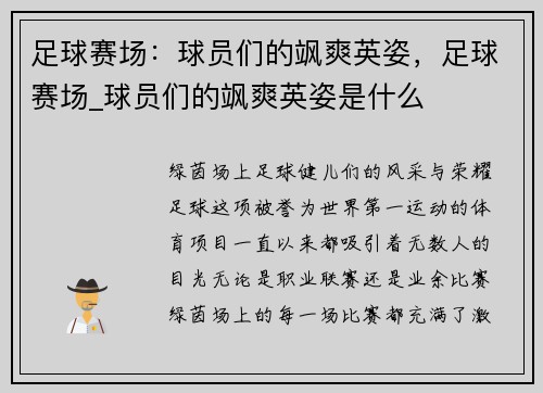 足球赛场：球员们的飒爽英姿，足球赛场_球员们的飒爽英姿是什么