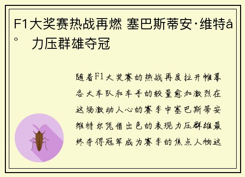 F1大奖赛热战再燃 塞巴斯蒂安·维特尔力压群雄夺冠